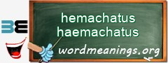 WordMeaning blackboard for hemachatus haemachatus